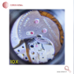 ذره بین و لوپ دو چشمی 10X ، 20X ساعت سازی كامار (CAMAR) کد 9892G1 LED