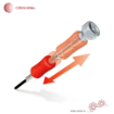 ست پیچ گوشتی ساعتی ۶ عددی وسل (VESSEL) تولید ژاپن کد TD56